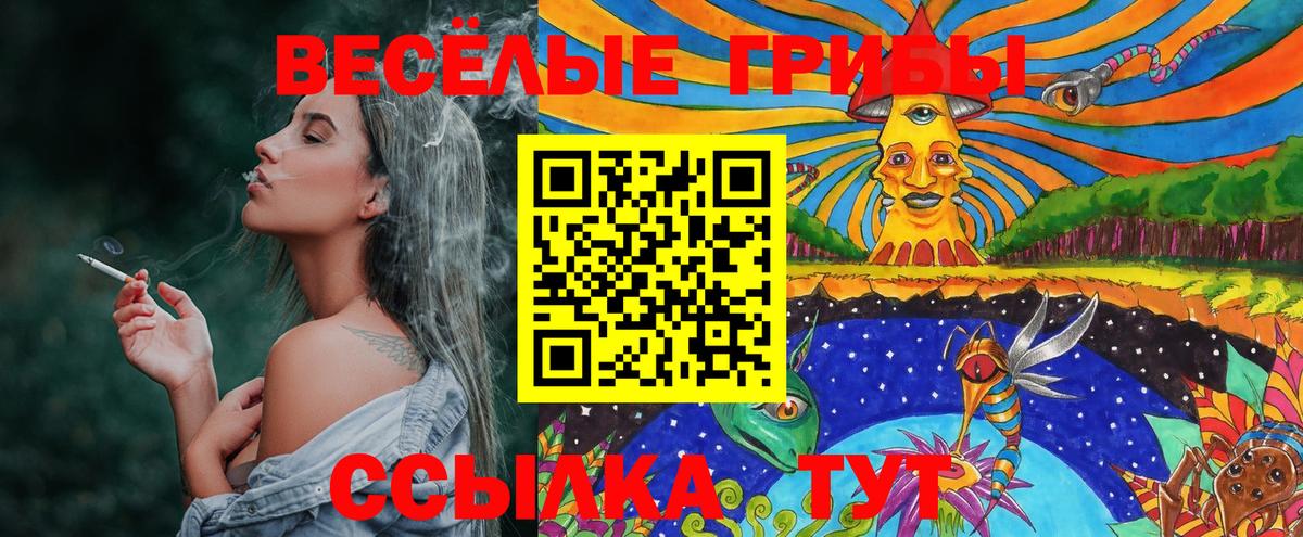 Новотроицк  Галлюциногенные грибы мухоморы  Вход с VPN 